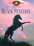 The Black Stallion DVD