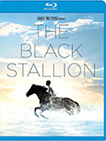 The Black Stallion Bluray