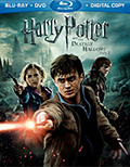 Harry Potter and the Deathly Hallows: Part 2 Bluray/DVD Combo Pack DVD