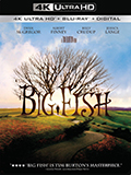 Big Fish (2003)